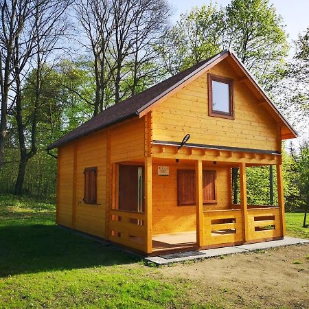 Janowickie Zacisze Villa Janowice Wielkie Eksteriør billede