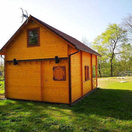 Janowickie Zacisze Villa Janowice Wielkie Eksteriør billede